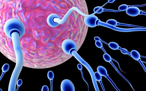 Sport e fertilitа: gli uomini si affaticano e gli spermatozoi si rilassano!