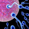 Sport e fertilitа: gli uomini si affaticano e gli spermatozoi si rilassano!