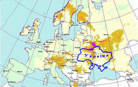 Donatrici ucraine: influisce ancora la radiazione di Chernobyl?‏