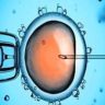 Fecondazione in vitro, verso test genetico che predice probabilità di successo