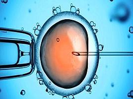 Fecondazione in vitro, verso test genetico che predice probabilità di successo