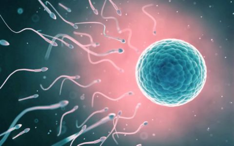 La dieta della fertilità: alimenti che aumentano le probabilità di gravidanza