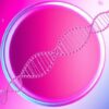 NIPT (Test materno)