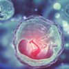 Cos’è EmbryoGlue?