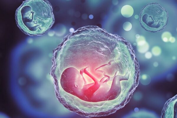 Cos’è EmbryoGlue?