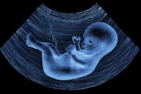 Ecografia Fetale: Quando si Fa, Come si Svolge e Perché è Importante